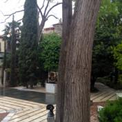 The garden of the Peggy Guggenheim Collection